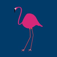 Pink flamingo bird illustration vector 