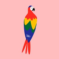 Macaw parrot bird illustration vector 