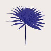Fan palm leaf aesthetic illustration