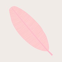 Pink banana leaf illustration aesthetic vector