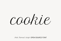 Petit Formal Script open source font by Impallari Type