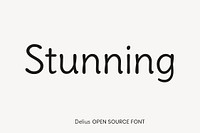 Delius open source font by Natalia Raices