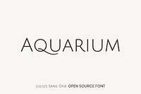 Julius Sans One open source font by Luciano Vergara