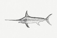 Vintage swordfish, animal illustration psd. Free public domain CC0 graphic