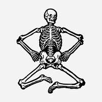 Human skeleton vintage illustration. Free public domain CC0 graphic