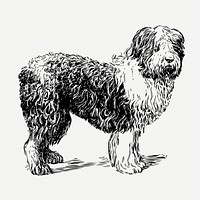 Sheepdog, vintage animal illustration psd. Free public domain CC0 graphic