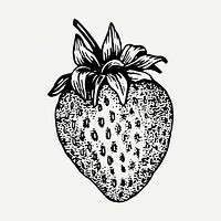 Hand drawn strawberry, vintage clipart psd. Free public domain CC0 graphic