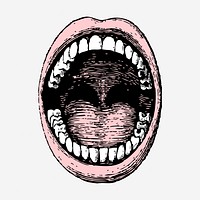 Open mouth clipart, dental design.  Free public domain CC0 graphic