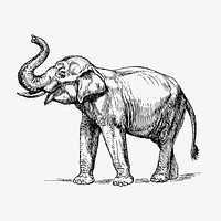 Vintage elephant, animal illustration vector. Free public domain CC0 graphic