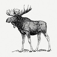 Vintage moose, animal clipart psd. Free public domain CC0 graphic