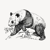 Panda illustration, animal clipart vector. Free public domain CC0 graphic