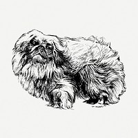 Pekingese dog, vintage animal clipart psd. Free public domain CC0 graphic
