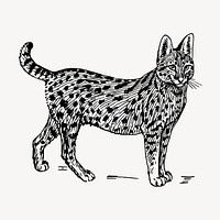 Serval, wild cat illustration vector. Free public domain CC0 graphic