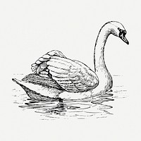 Vintage swan, animal clipart psd. Free public domain CC0 graphic