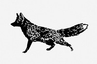 Back fox illustration. Free public domain CC0 graphic