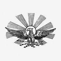 Eagle, animal illustration. Free public domain CC0 graphic