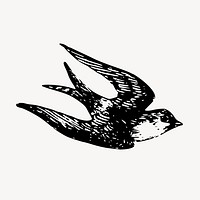 Swallow bird, animal illustration vector. Free public domain CC0 graphic