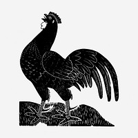 Vintage rooster, animal illustration. Free public domain CC0 graphic