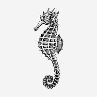 Seahorse underwater animal hand drawn illustration. Free public domain CC0 image.