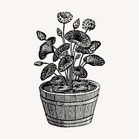Lotus plant clipart, vintage illustration vector. Free public domain CC0 image.