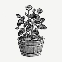 Lotus plant drawing, vintage illustration psd. Free public domain CC0 image.