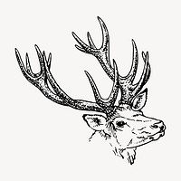 Reindeer stag clipart, vintage illustration vector. Free public domain CC0 image.