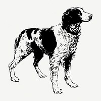 Brittany Spaniel dog drawing, vintage illustration psd. Free public domain CC0 image.