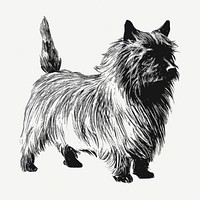 Cairn Terrier dog drawing, vintage illustration psd. Free public domain CC0 image.
