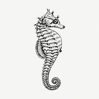 Seahorse underwater animal collage element, vintage illustration psd. Free public domain CC0 image.