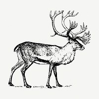 Reindeer stag collage element, vintage illustration psd. Free public domain CC0 image.