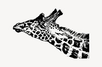 Giraffe sticker, vintage animal, wildlife illustration vector. Free public domain CC0 image.
