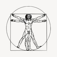 Leonardo da Vinci inspired Vitruvian man drawing, human anatomy illustration vector. Free public domain CC0 image.