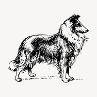 Collie dog drawing, hand drawn illustration vector. Free public domain CC0 image.