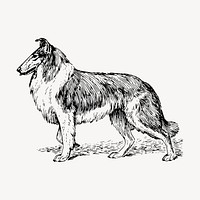 Collie dog drawing, hand drawn | Free Vector - rawpixel