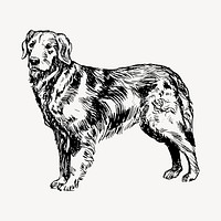 Golden retriever dog drawing, hand drawn animal illustration vector. Free public domain CC0 image.
