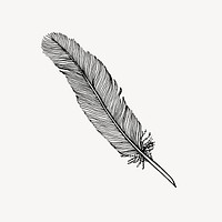 Feather quill drawing, vintage stationery illustration vector. Free public domain CC0 image.