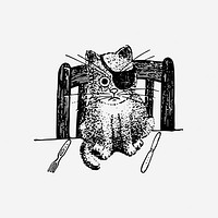 Funny pirate kitten drawing, animal illustration. Free public domain CC0 image.