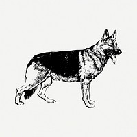 German Shepherd dog drawing, vintage animal illustration psd. Free public domain CC0 image.