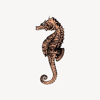 Vintage seahorse sticker, aquatic animal illustration vector. Free public domain CC0 image.