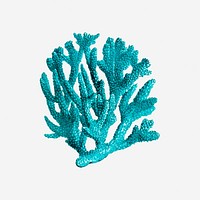 Blue coral clipart, sea life illustration. Free public domain CC0 image.