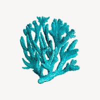 Blue coral clipart, sea life illustration vector. Free public domain CC0 image.