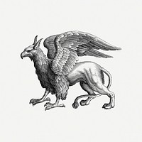 Griffin drawing, mythical creature illustration psd. Free public domain CC0 image.