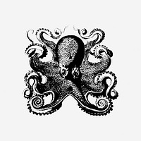 Octopus drawing clipart, vintage sea life illustration. Free public domain CC0 image.