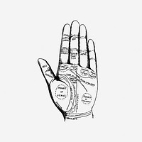 Vintage palmistry chart hand illustration. Free public domain CC0 image.