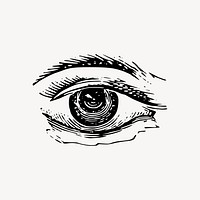 Vintage eye drawing clipart, body part illustration vector. Free public domain CC0 image.