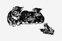 Kittens watching frog drawing, vintage animal illustration. Free public domain CC0 image.