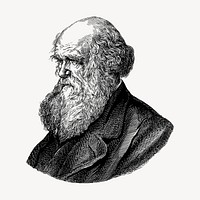 Charles Darwin hand drawn clipart, scientist illustration vector. Free public domain CC0 image.