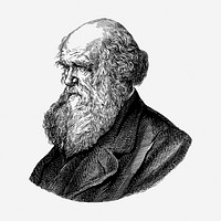 Charles Darwin hand drawn illustration. Free public domain CC0 image.