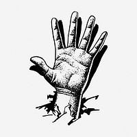 Palm hand drawn illustration. Free public domain CC0 image.