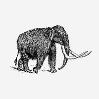 Mammoth hand drawn illustration, extinct animal . Free public domain CC0 image.